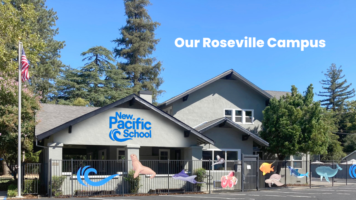 roseville-new-pacific-school